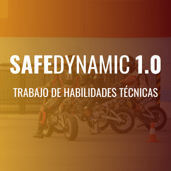 SAFEDYNAMIC 1.0