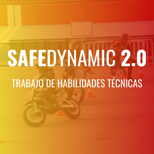 SAFEDYNAMIC 2.0