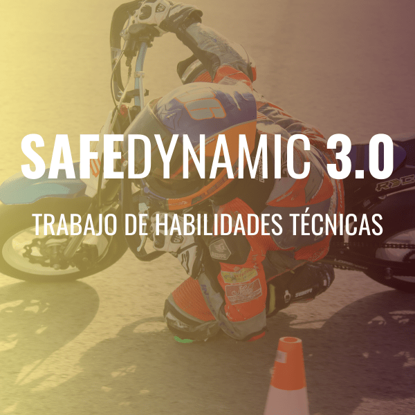 SAFEDYNAMIC 3.0